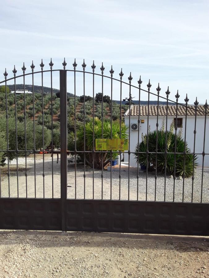Hacienda La Buena Vida B&B En Appartementen Algarinejo Exterior photo