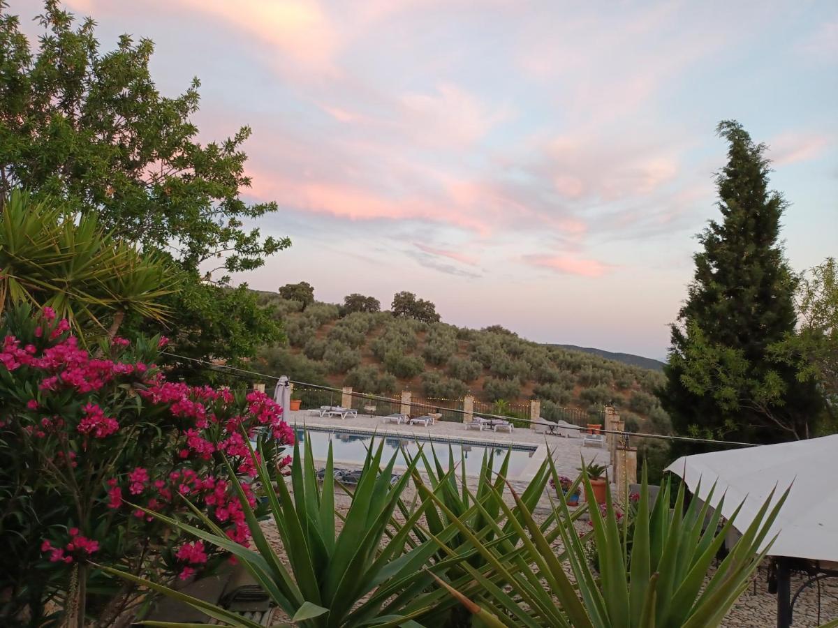 Hacienda La Buena Vida B&B En Appartementen Algarinejo Exterior photo